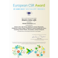 European CSR Awards 2013